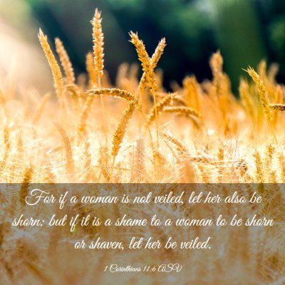 Picture 03 - 1 Corinthians 11:6 ASV - For if a woman is not veiled, let her also be - Bible Verse Picture