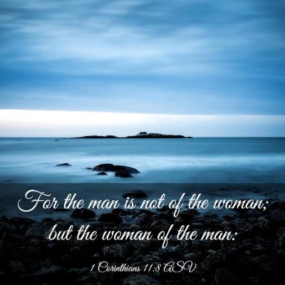 Picture 03 - 1 Corinthians 11:8 ASV - For the man is not of the woman; but the woman of - Bible Verse Picture
