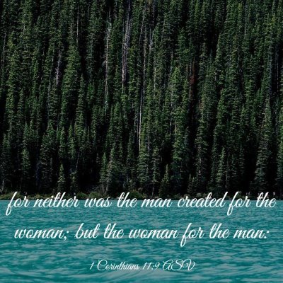 Picture 03 - 1 Corinthians 11:9 ASV - for neither was the man created for the woman; - Bible Verse Picture