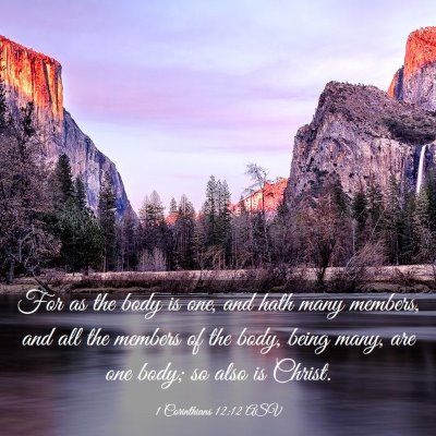 Picture 03 - 1 Corinthians 12:12 ASV - For as the body is one, and hath many members, - Bible Verse Picture