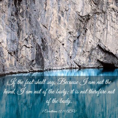 Picture 03 - 1 Corinthians 12:15 ASV - If the foot shall say, Because I am not the hand, - Bible Verse Picture