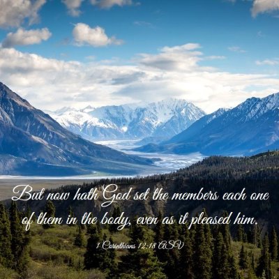 Picture 03 - 1 Corinthians 12:18 ASV - But now hath God set the members each one of them - Bible Verse Picture