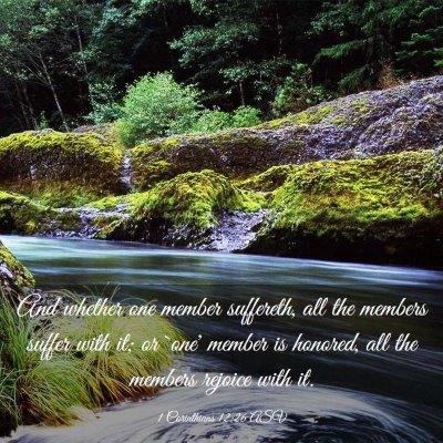 Picture 03 - 1 Corinthians 12:26 ASV - And whether one member suffereth, all the members - Bible Verse Picture