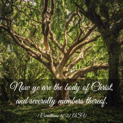 Picture 03 - 1 Corinthians 12:27 ASV - Now ye are the body of Christ, and severally - Bible Verse Picture