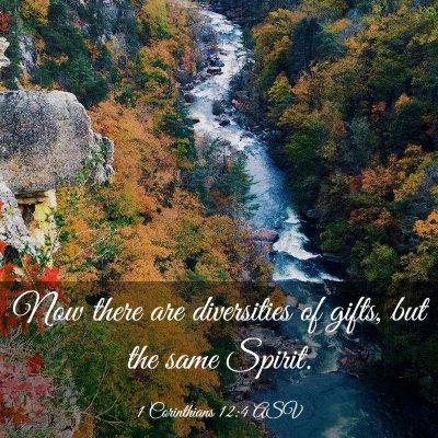 Picture 03 - 1 Corinthians 12:4 ASV - Now there are diversities of gifts, but the same - Bible Verse Picture