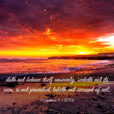 Picture 03 - 1 Corinthians 13:5 ASV - doth not behave itself unseemly, seeketh not its - Bible Verse Picture