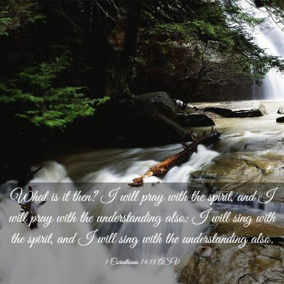 Picture 03 - 1 Corinthians 14:15 ASV - What is it then? I will pray with the spirit, and - Bible Verse Picture