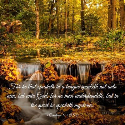 Picture 03 - 1 Corinthians 14:2 ASV - For he that speaketh in a tongue speaketh not - Bible Verse Picture