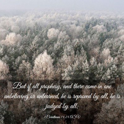 Picture 03 - 1 Corinthians 14:24 ASV - But if all prophesy, and there come in one - Bible Verse Picture
