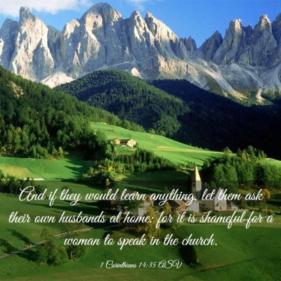 Picture 03 - 1 Corinthians 14:35 ASV - And if they would learn anything, let them ask - Bible Verse Picture