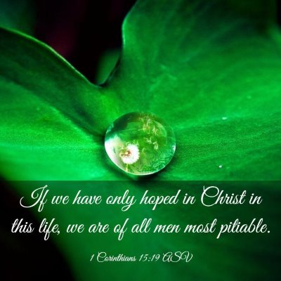Picture 03 - 1 Corinthians 15:19 ASV - If we have only hoped in Christ in this life, we - Bible Verse Picture