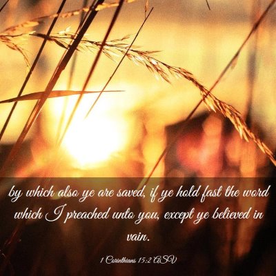 Picture 03 - 1 Corinthians 15:2 ASV - by which also ye are saved, if ye hold fast the - Bible Verse Picture