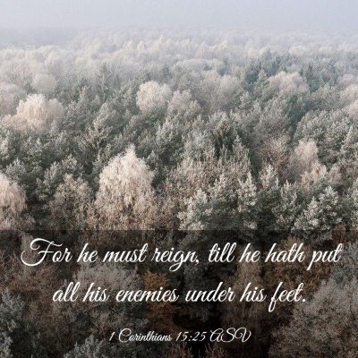 Picture 03 - 1 Corinthians 15:25 ASV - For he must reign, till he hath put all his - Bible Verse Picture