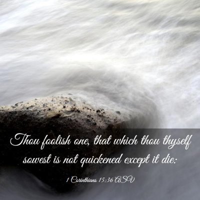Picture 03 - 1 Corinthians 15:36 ASV - Thou foolish one, that which thou thyself sowest - Bible Verse Picture