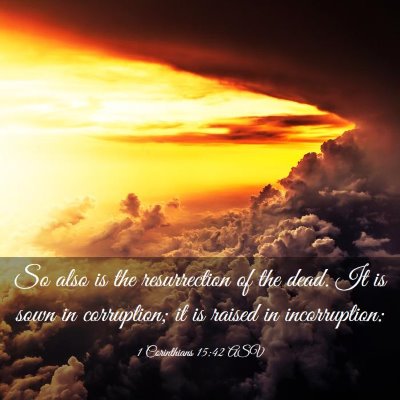 Picture 03 - 1 Corinthians 15:42 ASV - So also is the resurrection of the dead. It is - Bible Verse Picture