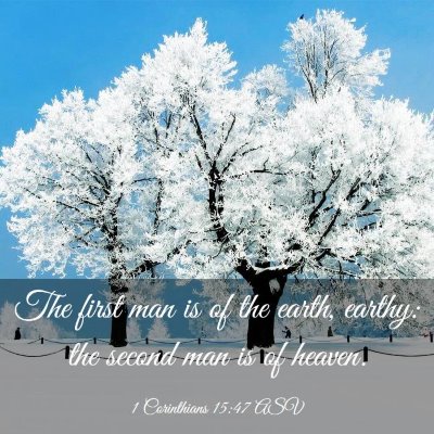 Picture 03 - 1 Corinthians 15:47 ASV - The first man is of the earth, earthy: the second - Bible Verse Picture