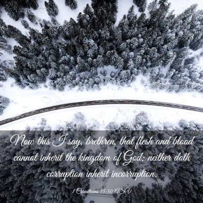 Picture 03 - 1 Corinthians 15:50 ASV - Now this I say, brethren, that flesh and blood - Bible Verse Picture