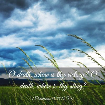 Picture 03 - 1 Corinthians 15:55 ASV - O death, where is thy victory? O death, where is - Bible Verse Picture