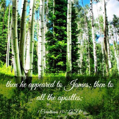 Picture 03 - 1 Corinthians 15:7 ASV - then he appeared to James; then to all the - Bible Verse Picture