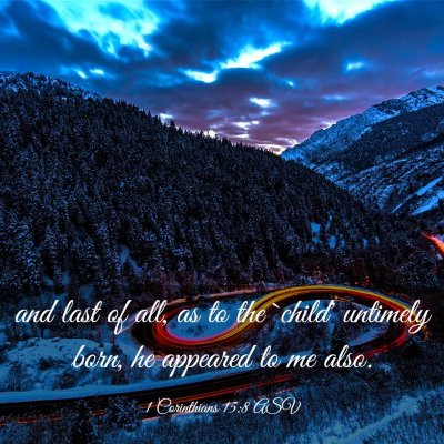 Picture 03 - 1 Corinthians 15:8 ASV - and last of all, as to the `child' untimely born, - Bible Verse Picture