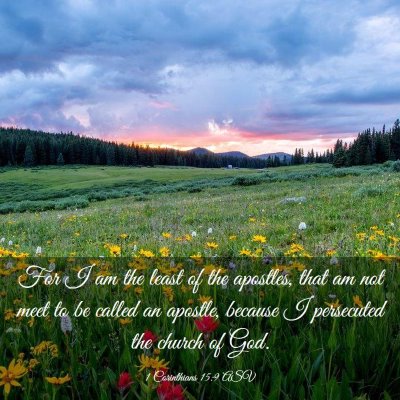 Picture 03 - 1 Corinthians 15:9 ASV - For I am the least of the apostles, that am not - Bible Verse Picture