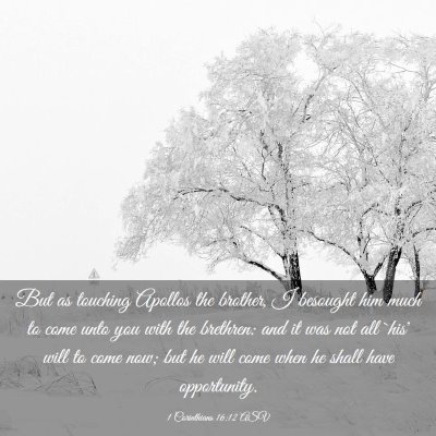 Picture 03 - 1 Corinthians 16:12 ASV - But as touching Apollos the brother, I besought - Bible Verse Picture