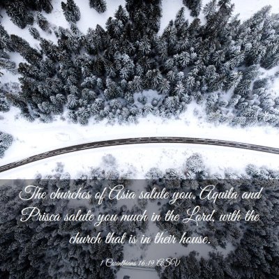 Picture 03 - 1 Corinthians 16:19 ASV - The churches of Asia salute you. Aquila and - Bible Verse Picture