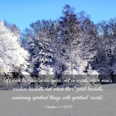 Picture 03 - 1 Corinthians 2:13 ASV - Which things also we speak, not in words which - Bible Verse Picture