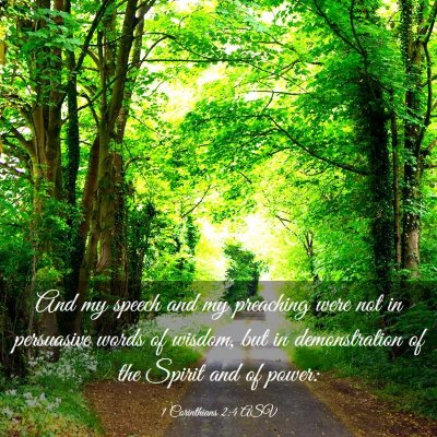 Picture 03 - 1 Corinthians 2:4 ASV - And my speech and my preaching were not in - Bible Verse Picture