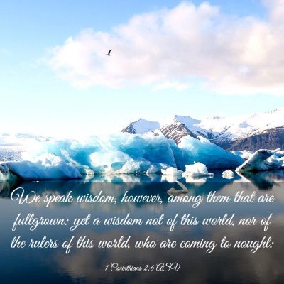 Picture 03 - 1 Corinthians 2:6 ASV - We speak wisdom, however, among them that are - Bible Verse Picture
