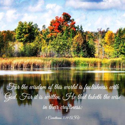 Picture 03 - 1 Corinthians 3:19 ASV - For the wisdom of this world is foolishness with - Bible Verse Picture