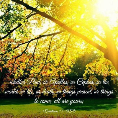 Picture 03 - 1 Corinthians 3:22 ASV - whether Paul, or Apollos, or Cephas, or the - Bible Verse Picture
