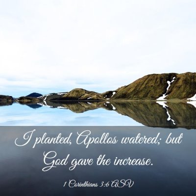 Picture 03 - 1 Corinthians 3:6 ASV - I planted, Apollos watered; but God gave the - Bible Verse Picture