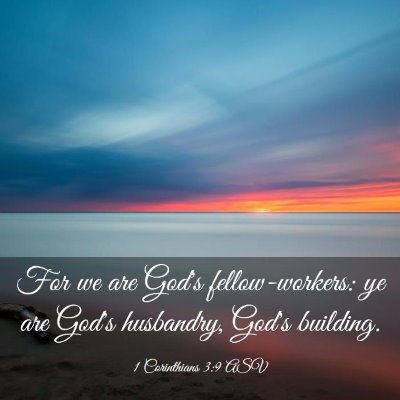 Picture 03 - 1 Corinthians 3:9 ASV - For we are God's fellow-workers: ye are God's - Bible Verse Picture