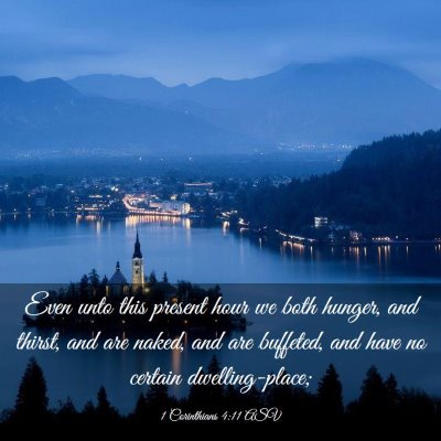 Picture 03 - 1 Corinthians 4:11 ASV - Even unto this present hour we both hunger, and - Bible Verse Picture