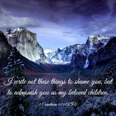 Picture 03 - 1 Corinthians 4:14 ASV - I write not these things to shame you, but to - Bible Verse Picture