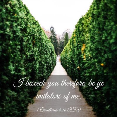 Picture 03 - 1 Corinthians 4:16 ASV - I beseech you therefore, be ye imitators of - Bible Verse Picture