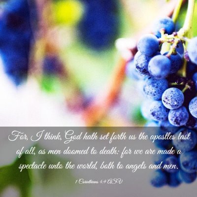 Picture 03 - 1 Corinthians 4:9 ASV - For, I think, God hath set forth us the apostles - Bible Verse Picture