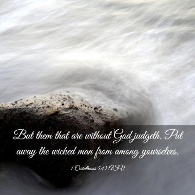 Picture 03 - 1 Corinthians 5:13 ASV - But them that are without God judgeth. Put away - Bible Verse Picture