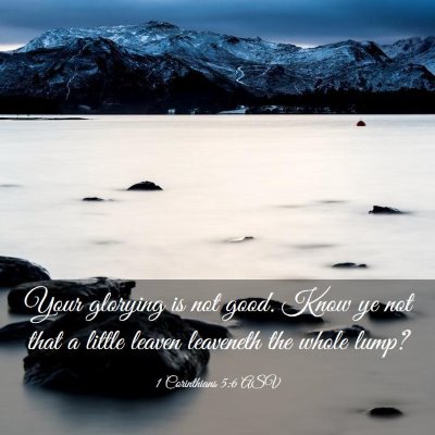 Picture 03 - 1 Corinthians 5:6 ASV - Your glorying is not good. Know ye not that a - Bible Verse Picture