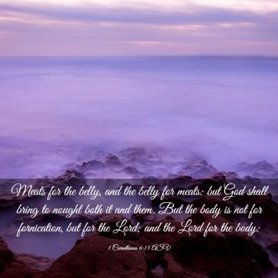 Picture 03 - 1 Corinthians 6:13 ASV - Meats for the belly, and the belly for meats: but - Bible Verse Picture