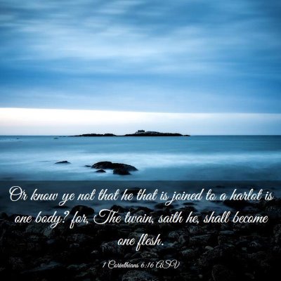 Picture 03 - 1 Corinthians 6:16 ASV - Or know ye not that he that is joined to a harlot - Bible Verse Picture