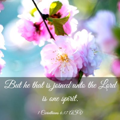 Picture 03 - 1 Corinthians 6:17 ASV - But he that is joined unto the Lord is one - Bible Verse Picture