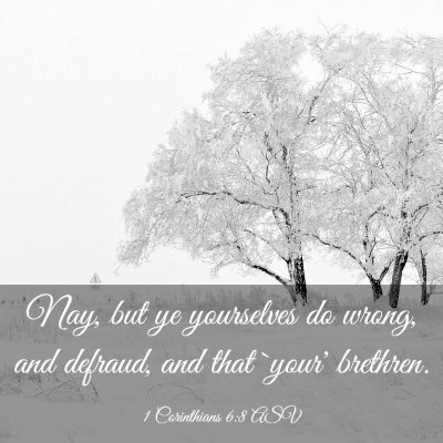 Picture 03 - 1 Corinthians 6:8 ASV - Nay, but ye yourselves do wrong, and defraud, and - Bible Verse Picture
