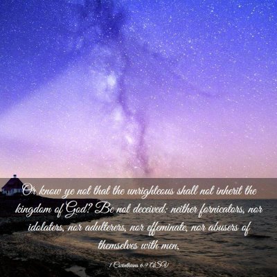 Picture 03 - 1 Corinthians 6:9 ASV - Or know ye not that the unrighteous shall not - Bible Verse Picture