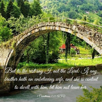 Picture 03 - 1 Corinthians 7:12 ASV - But to the rest say I, not the Lord: If any - Bible Verse Picture