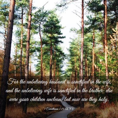 Picture 03 - 1 Corinthians 7:14 ASV - For the unbelieving husband is sanctified in the - Bible Verse Picture