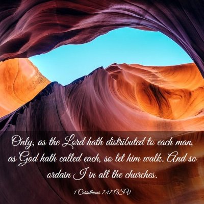 Picture 03 - 1 Corinthians 7:17 ASV - Only, as the Lord hath distributed to each man, - Bible Verse Picture