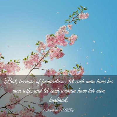 Picture 03 - 1 Corinthians 7:2 ASV - But, because of fornications, let each man have - Bible Verse Picture