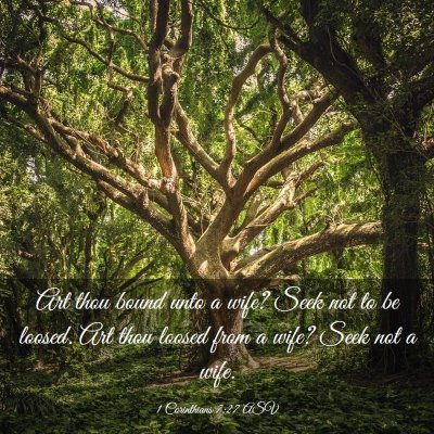 Picture 03 - 1 Corinthians 7:27 ASV - Art thou bound unto a wife? Seek not to be - Bible Verse Picture